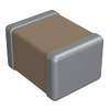 1210Y2000272KDT Image