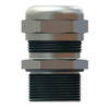 MMS-12 Image